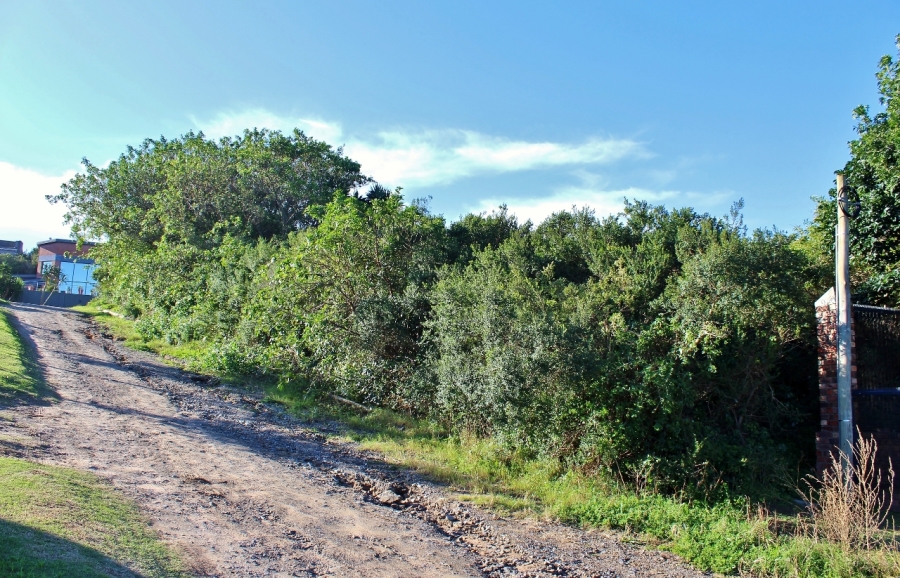 0 Bedroom Property for Sale in Forest Downs Eastern Cape